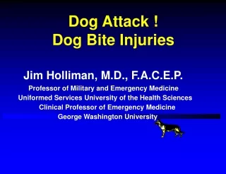 Dog Attack !                Dog Bite Injuries