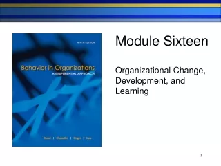 Module Sixteen Organizational Change,  Development, and  Learning