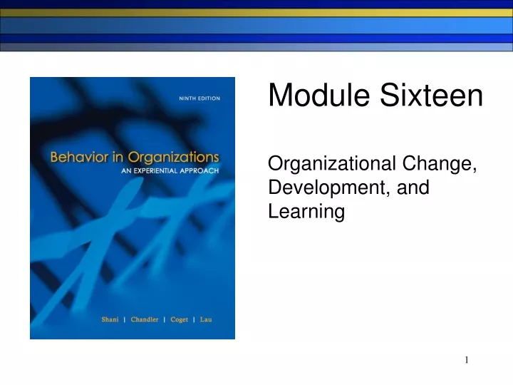 module sixteen organizational change development