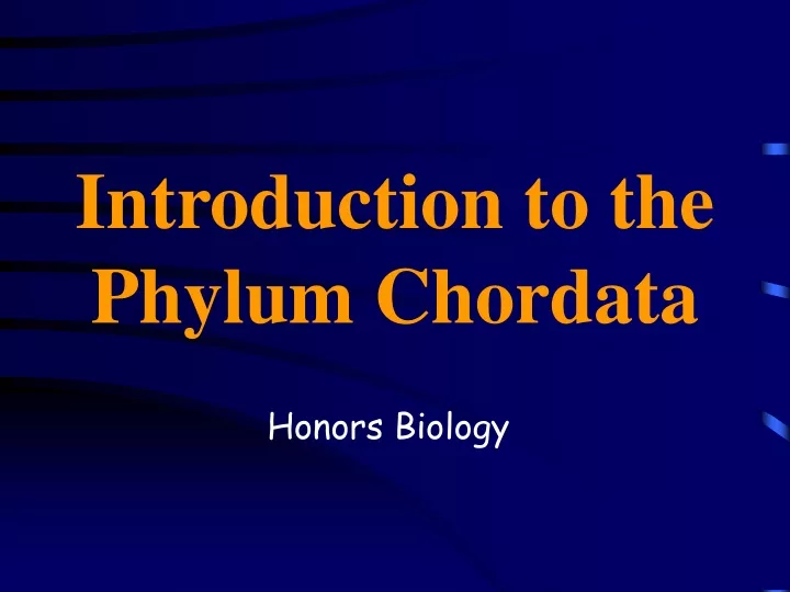 introduction to the phylum chordata