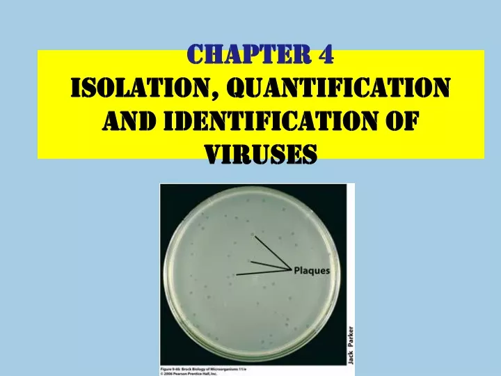 chapter 4 isolation quantification