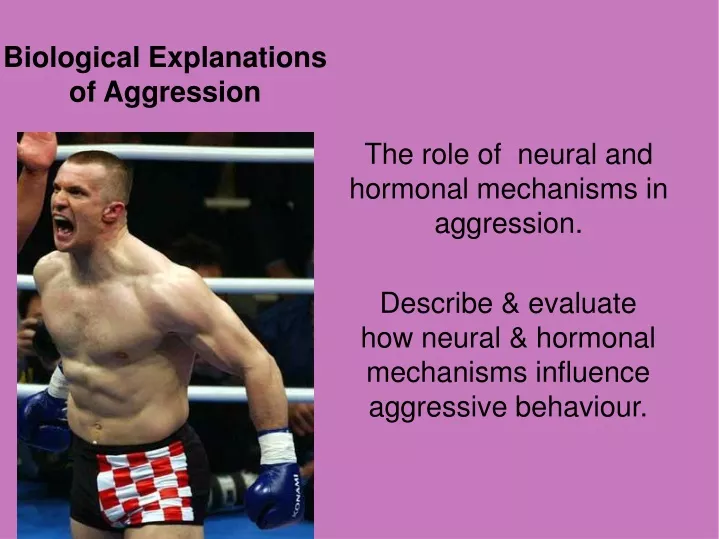 biological explanations of aggression