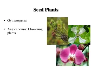 Gymnosperm Angiosperms: Flowering plants