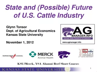 State and (Possible) Future of U.S. Cattle Industry