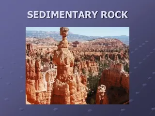 SEDIMENTARY ROCK