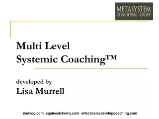 Multi Level  Systemic Coaching™ developed by Lisa Murrell