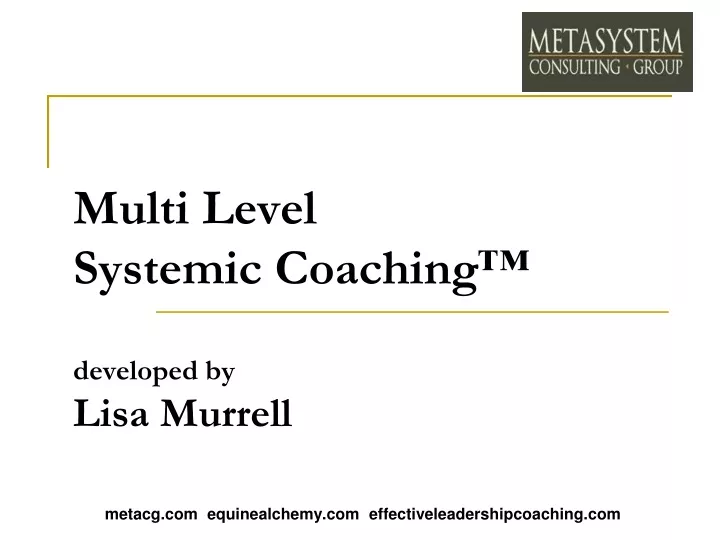 multi level systemic coaching developed by lisa murrell