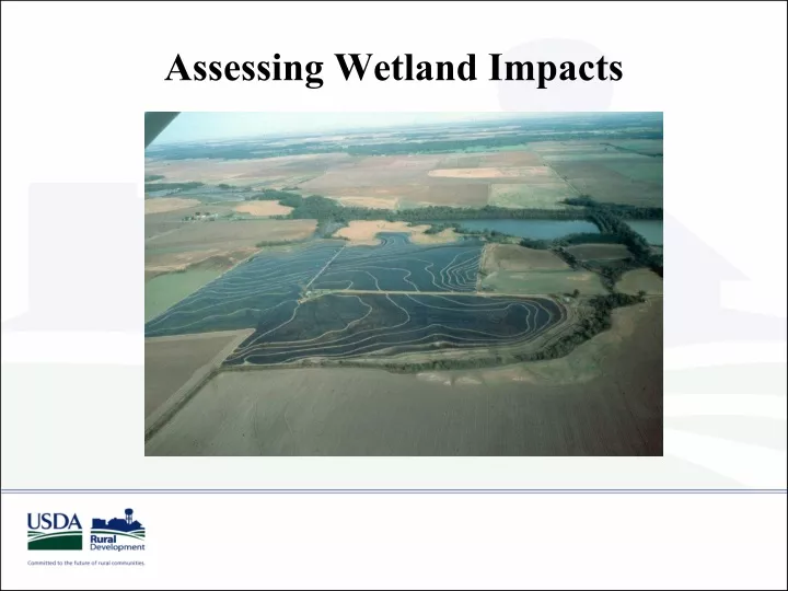 assessing wetland impacts