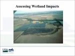 Assessing Wetland Impacts - slide 1