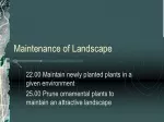 Maintenance of Landscape