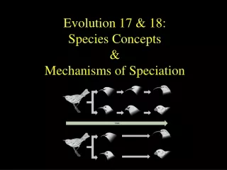 Evolution 17 &amp; 18:  Species Concepts &amp; Mechanisms of Speciation