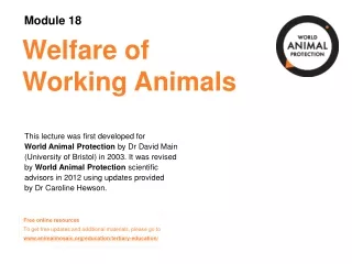 Welfare of Working Animals