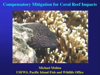 Compensatory Mitigation for Coral Reef Impacts