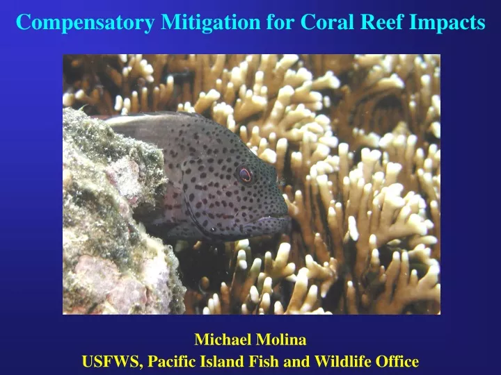 compensatory mitigation for coral reef impacts