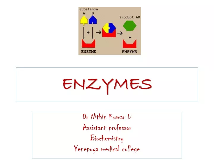 enzymes