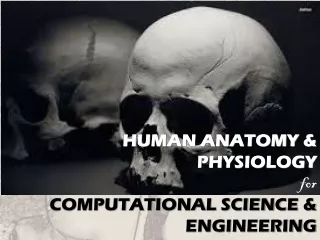 HUMAN ANATOMY &amp; PHYSIOLOGY for COMPUTATIONAL SCIENCE &amp; ENGINEERING