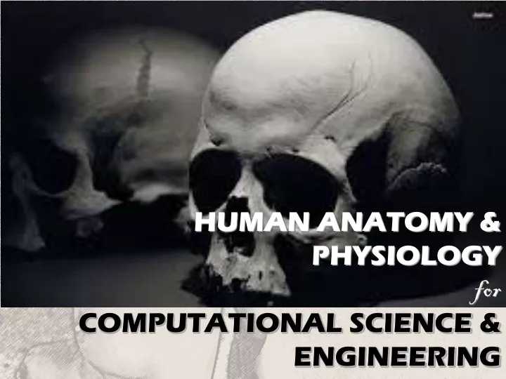 human anatomy physiology for computational science engineering
