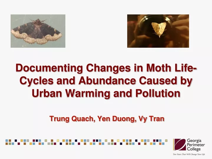 documenting changes in moth life cycles and abundance caused by urban warming and pollution