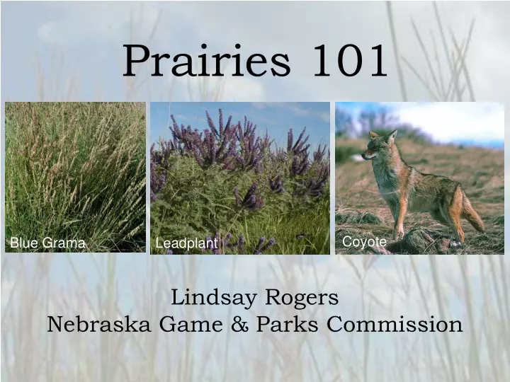 prairies 101