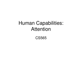 Human Capabilities: Attention