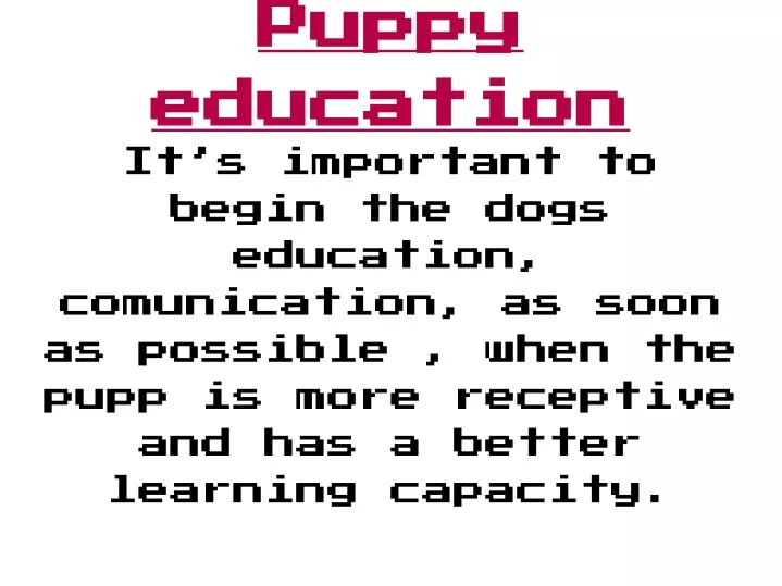 puppy education