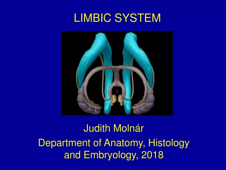 limbic system