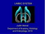 LIMBIC SYSTEM - slide 1