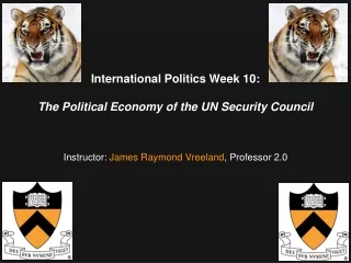 International Politics Week 10: The Political Economy of the UN Security Council