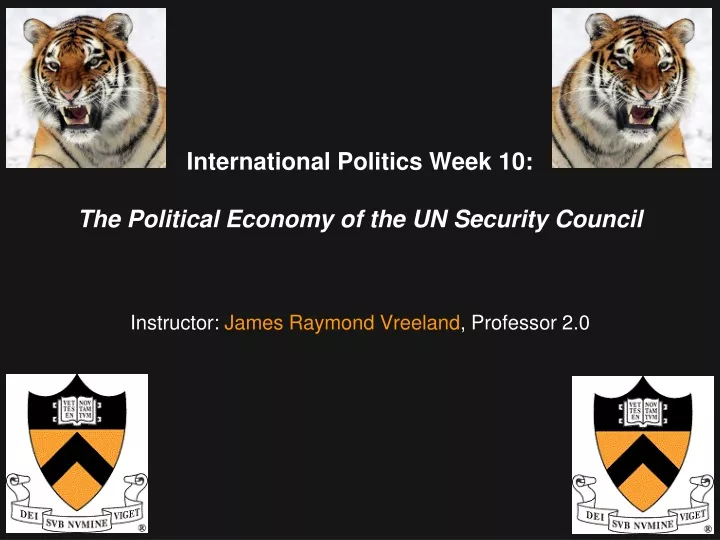 international politics week 10 the political economy of the un security council