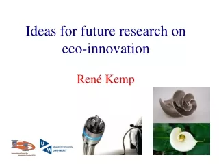 Ideas for future research on eco-innovation Ren é  Kemp