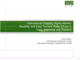 Anne Hayes,  International Coordinator for the  International Disability RightsMonitor (IDRM