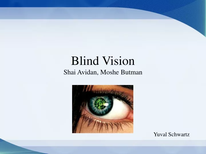 blind vision shai avidan moshe butman