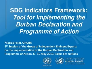 SDG Indicators Framework:  Tool for Implementing the Durban Declaration and Programme of Action