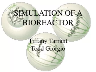 SIMULATION OF A BIOREACTOR Tiffany Tarrant Todd Giorgio
