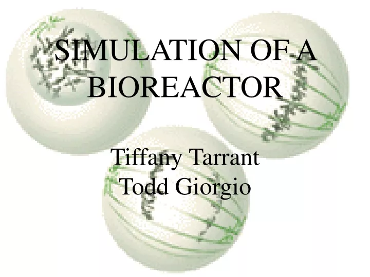 simulation of a bioreactor tiffany tarrant todd giorgio