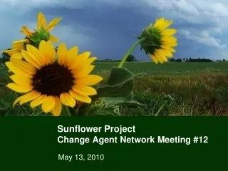 Sunflower Project Change Agent Network Meeting #12