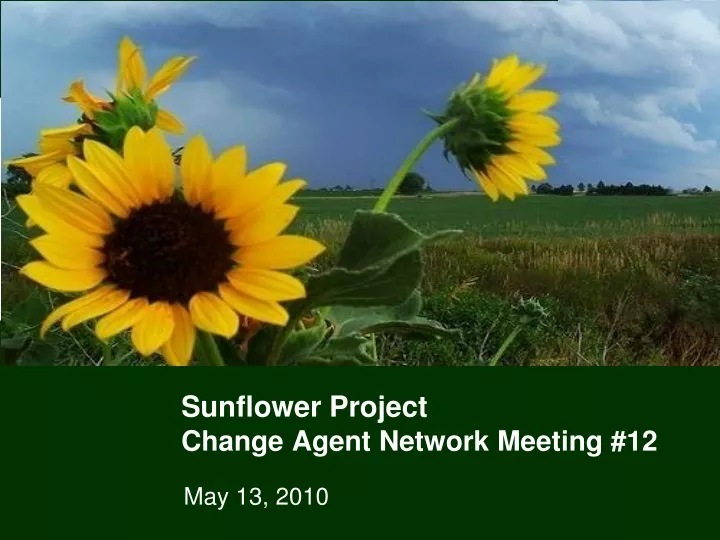 sunflower project change agent network meeting 12