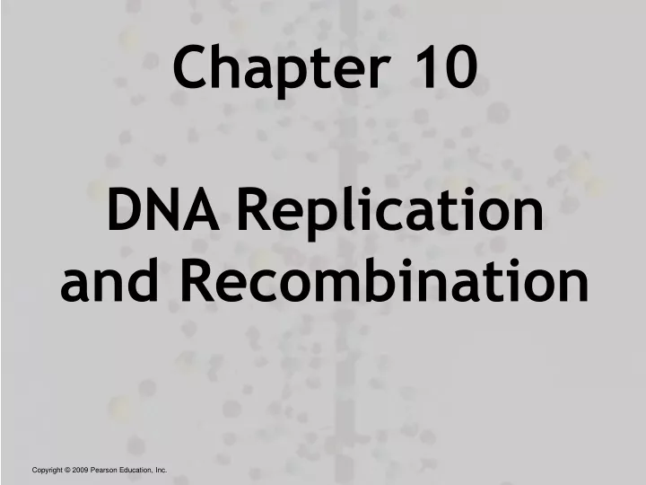 chapter 10 dna replication and recombination