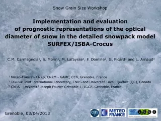 snow grain size workshop