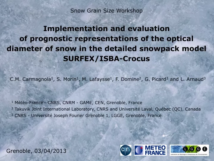 snow grain size workshop