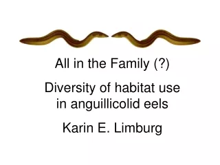 All in the Family (?)   Diversity of habitat use in anguillicolid eels Karin E. Limburg