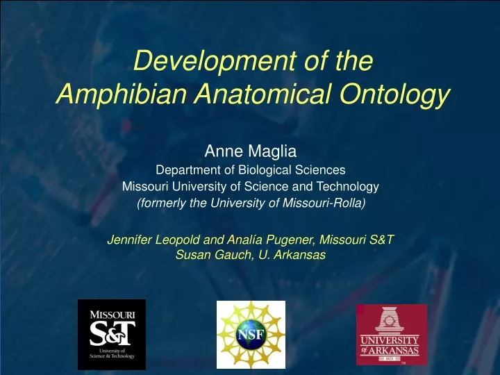 development of the amphibian anatomical ontology