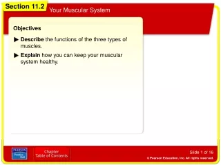 Objectives