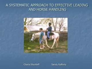 A SYSTEMATIC APPROACH TO EFFECTIVE LEADING  AND HORSE HANDLING