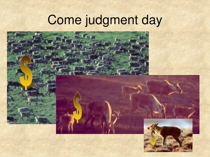 come judgment day