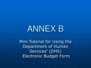 ANNEX B