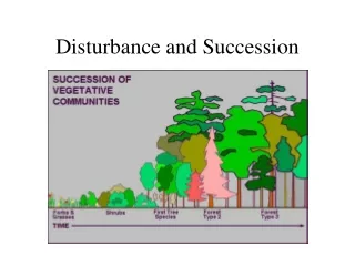 Disturbance and Succession