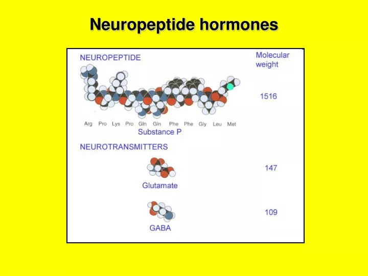 neuropeptide hormones