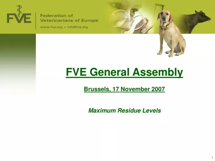fve general assembly brussels 17 november 2007 maximum residue levels