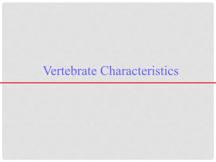 vertebrate characteristics